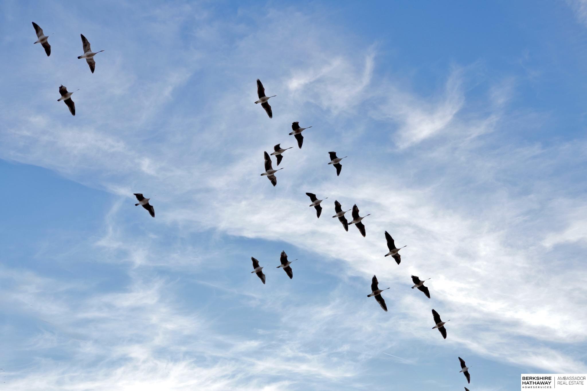 Yutan, Nebraska 68073, United States, 3 Bedrooms Bedrooms, ,2 BathroomsBathrooms,Residential,Active,257588