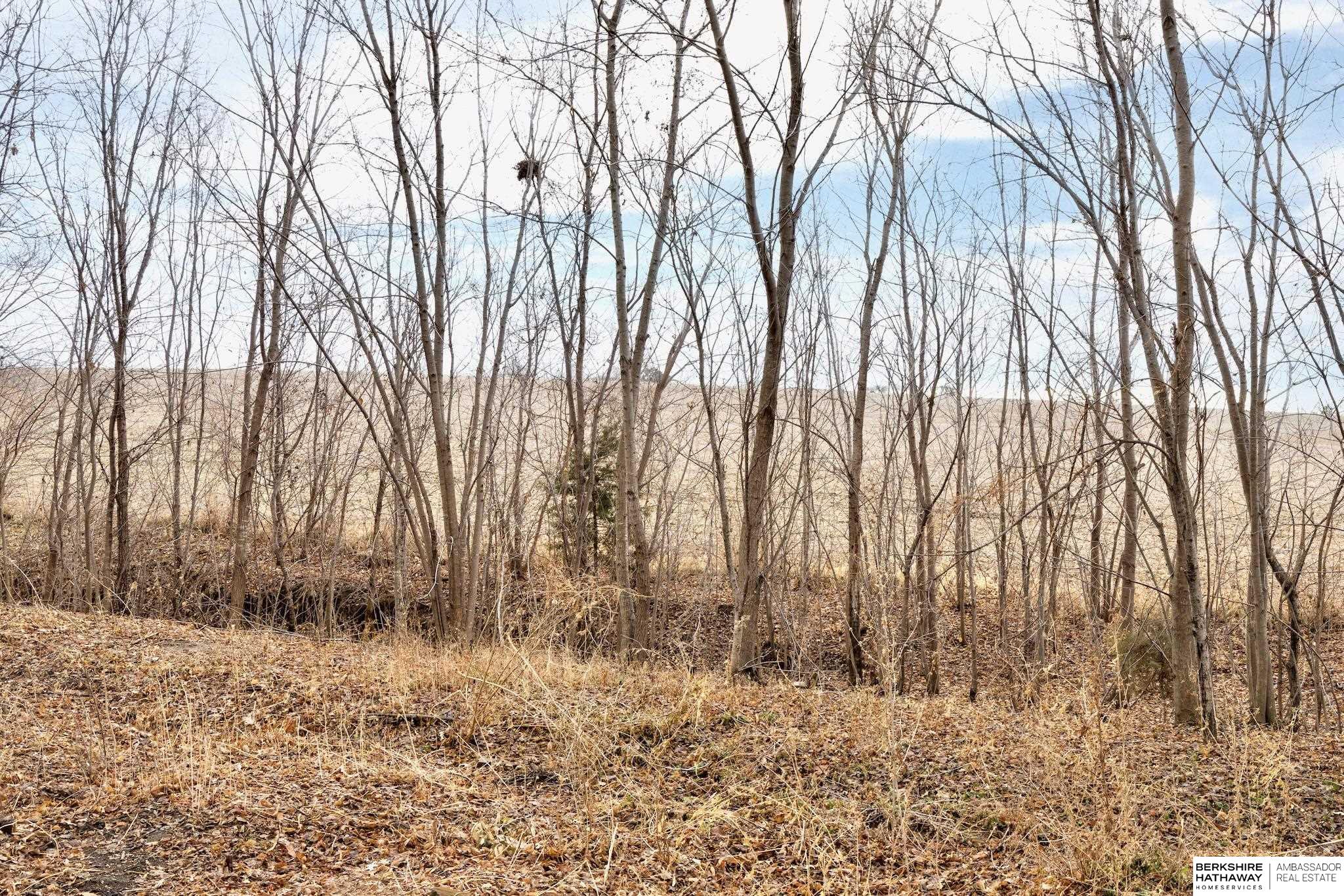 Yutan, Nebraska 68073, United States, 3 Bedrooms Bedrooms, ,2 BathroomsBathrooms,Residential,Active,257588