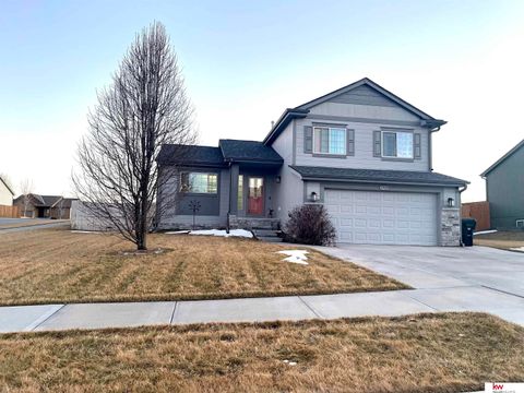Photo of 1903 Mesa Street, Bellevue, NE 68123 (MLS # 22605194)