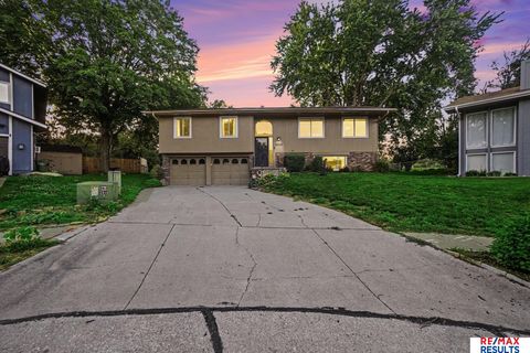 Photo of 1014 Julius Place, Bellevue, NE 68005 (MLS # 22616137)