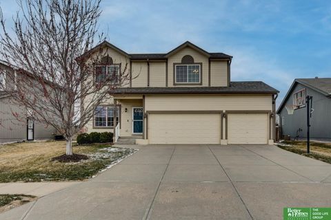 Photo of 18028 Lillian Street, Omaha, NE 68136 (MLS # 22607057)