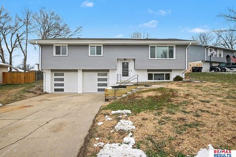 Photo of 20116 Binney Circle, Omaha, NE 68022 (MLS # 22534538)