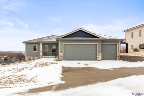 Photo of 1010 S 17 Avenue, Blair, NE 68008 (MLS # 22607039)
