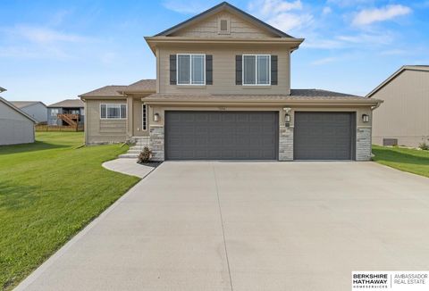 Photo of 5206 Helwig Avenue, Papillion, NE 68133 (MLS # 22528541)