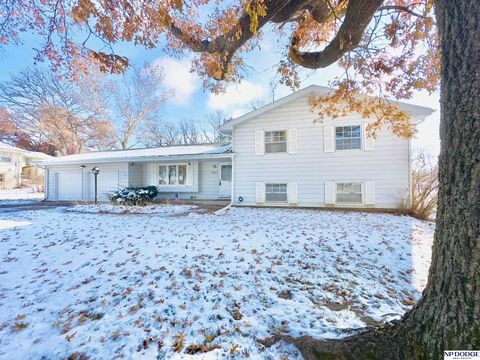 Photo of 10263 Kathy Drive, Omaha, NE 68134 (MLS # 22534235)