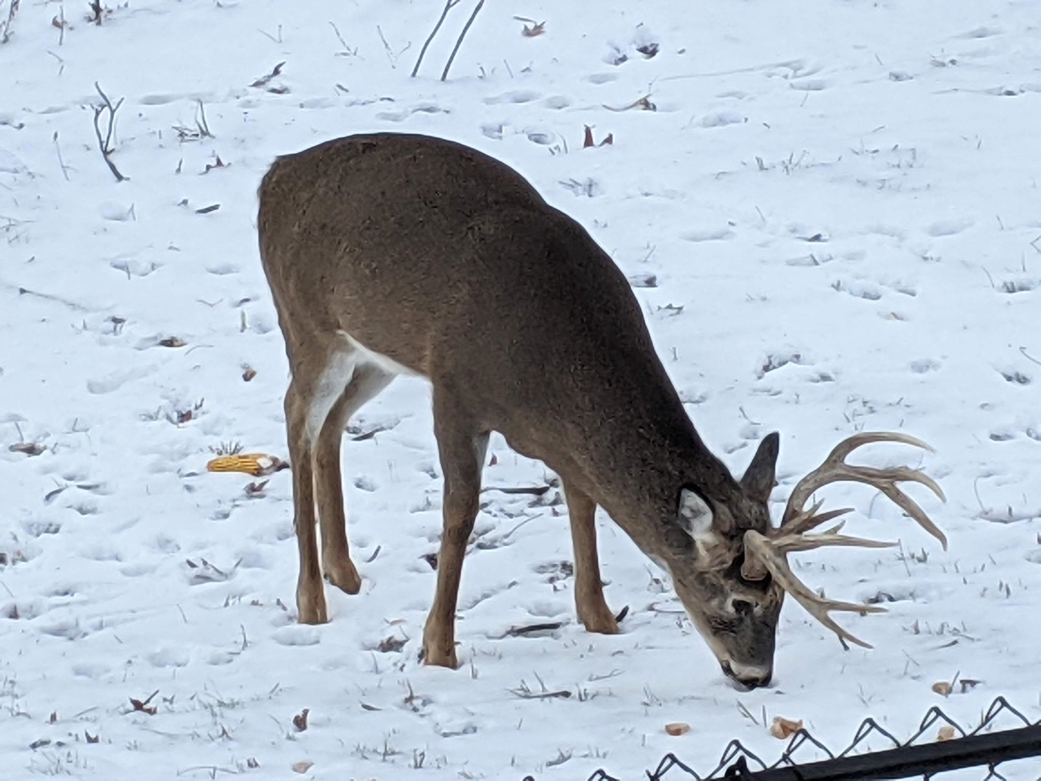 Bellevue, Nebraska 68005, United States, 4 Bedrooms Bedrooms, ,3 BathroomsBathrooms,Residential,Active,146610