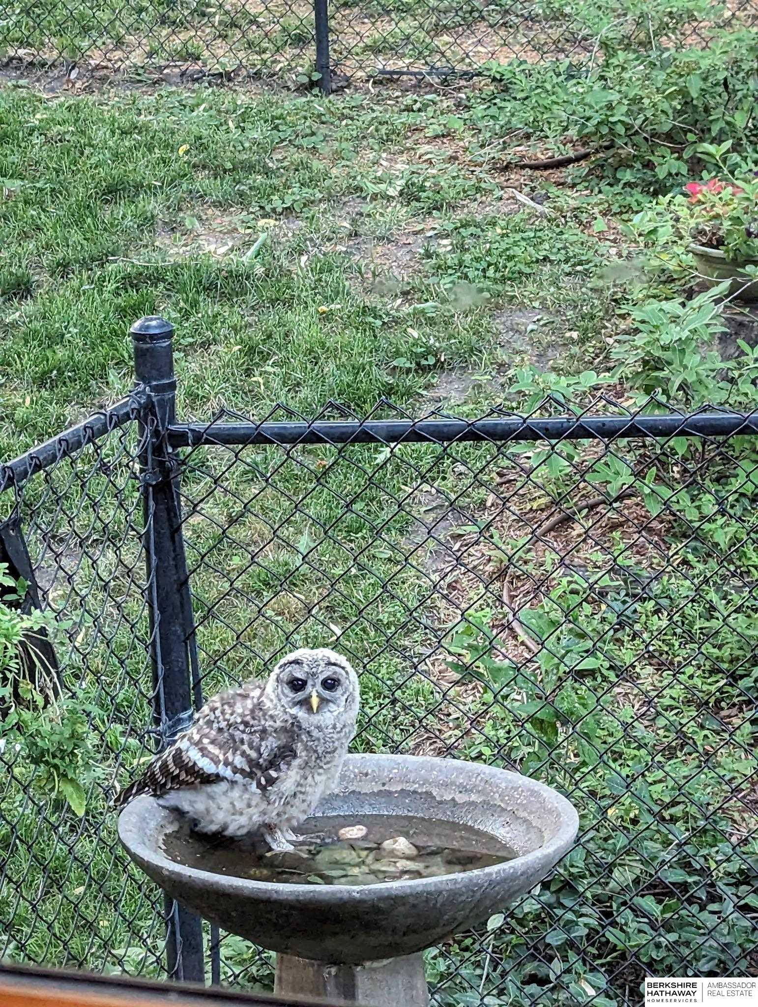 Bellevue, Nebraska 68005, United States, 4 Bedrooms Bedrooms, ,3 BathroomsBathrooms,Residential,Active,146610