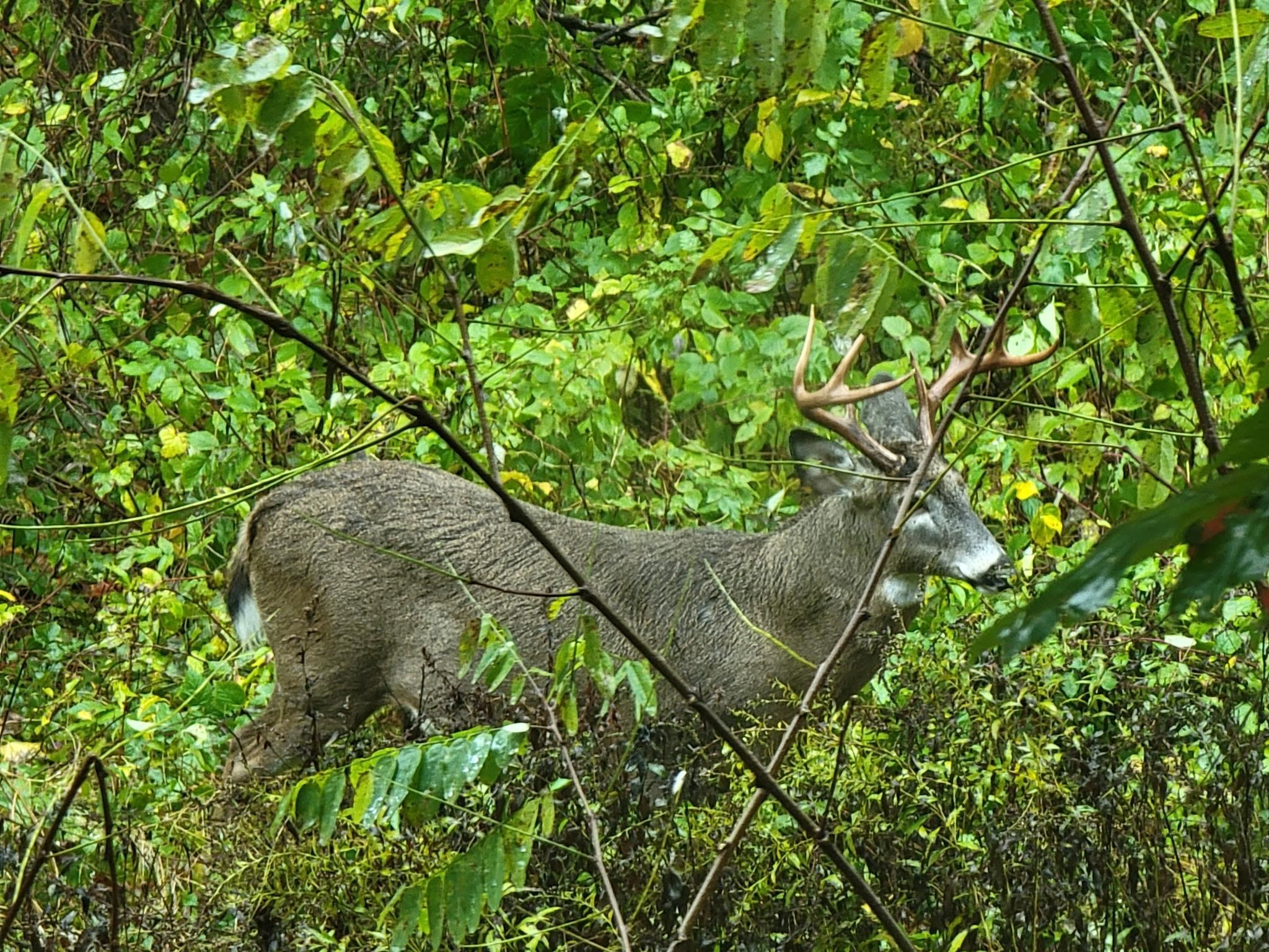Bellevue, Nebraska 68005, United States, 4 Bedrooms Bedrooms, ,3 BathroomsBathrooms,Residential,Active,146610