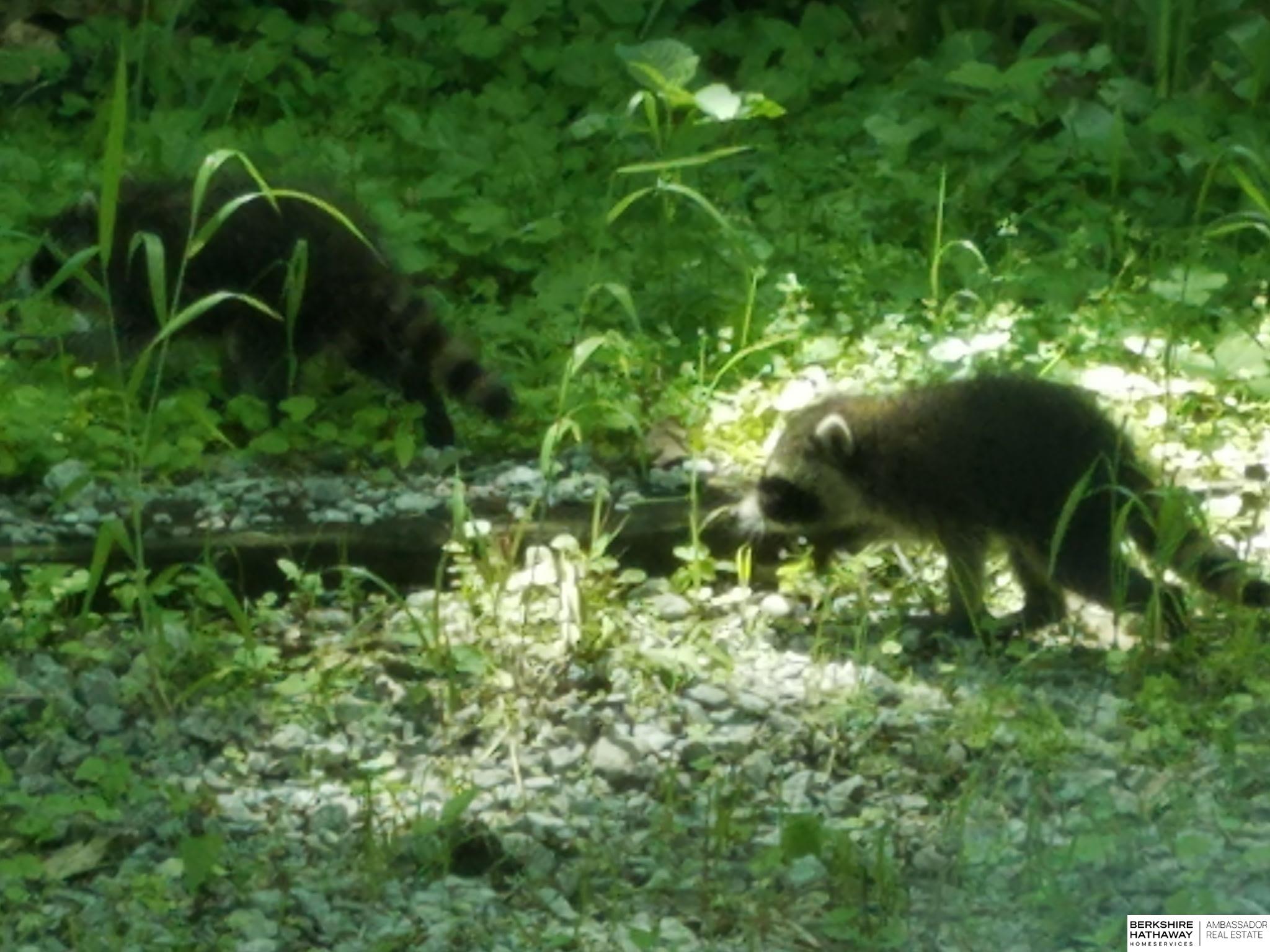 Bellevue, Nebraska 68005, United States, 4 Bedrooms Bedrooms, ,3 BathroomsBathrooms,Residential,Active,146610