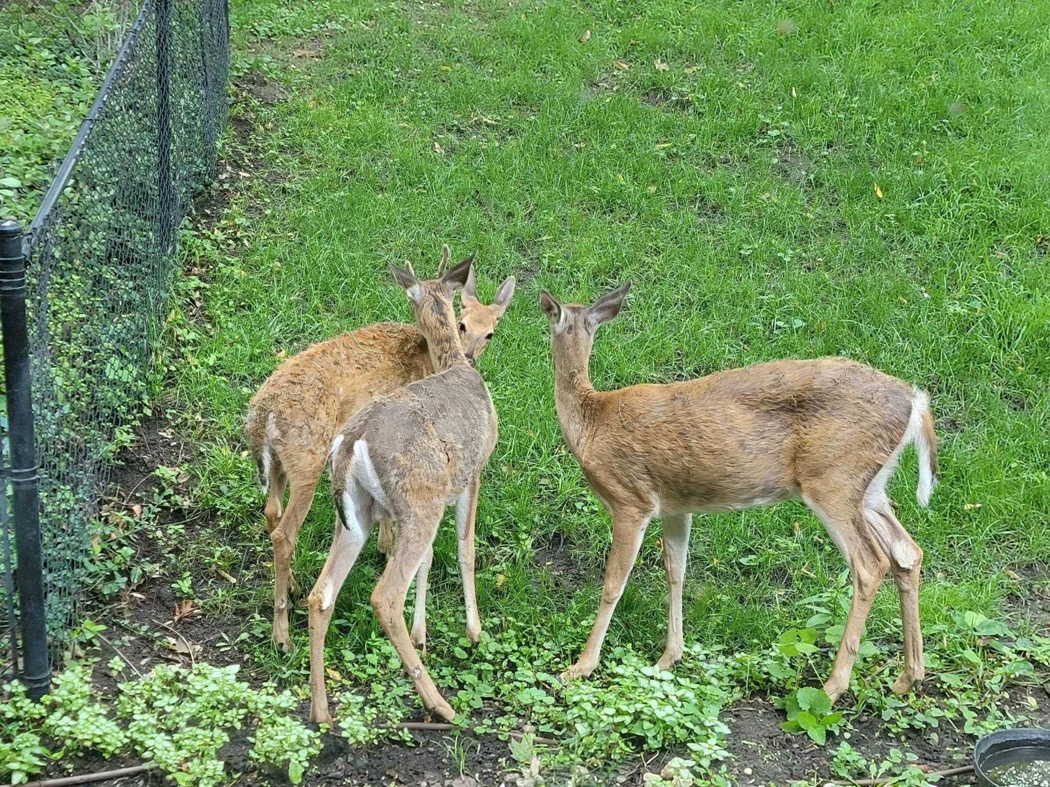 Bellevue, Nebraska 68005, United States, 4 Bedrooms Bedrooms, ,3 BathroomsBathrooms,Residential,Active,146610