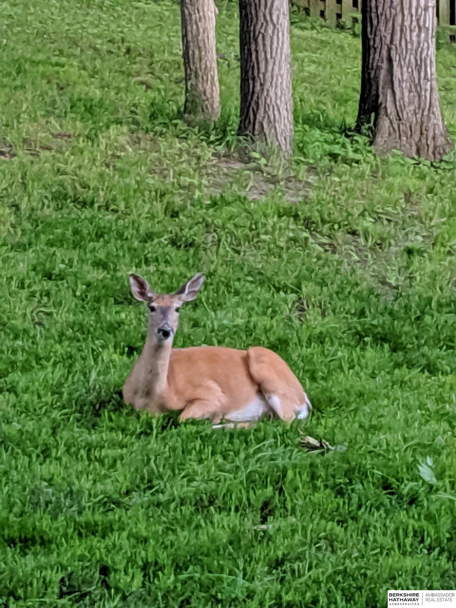 Bellevue, Nebraska 68005, United States, 4 Bedrooms Bedrooms, ,3 BathroomsBathrooms,Residential,Active,146610