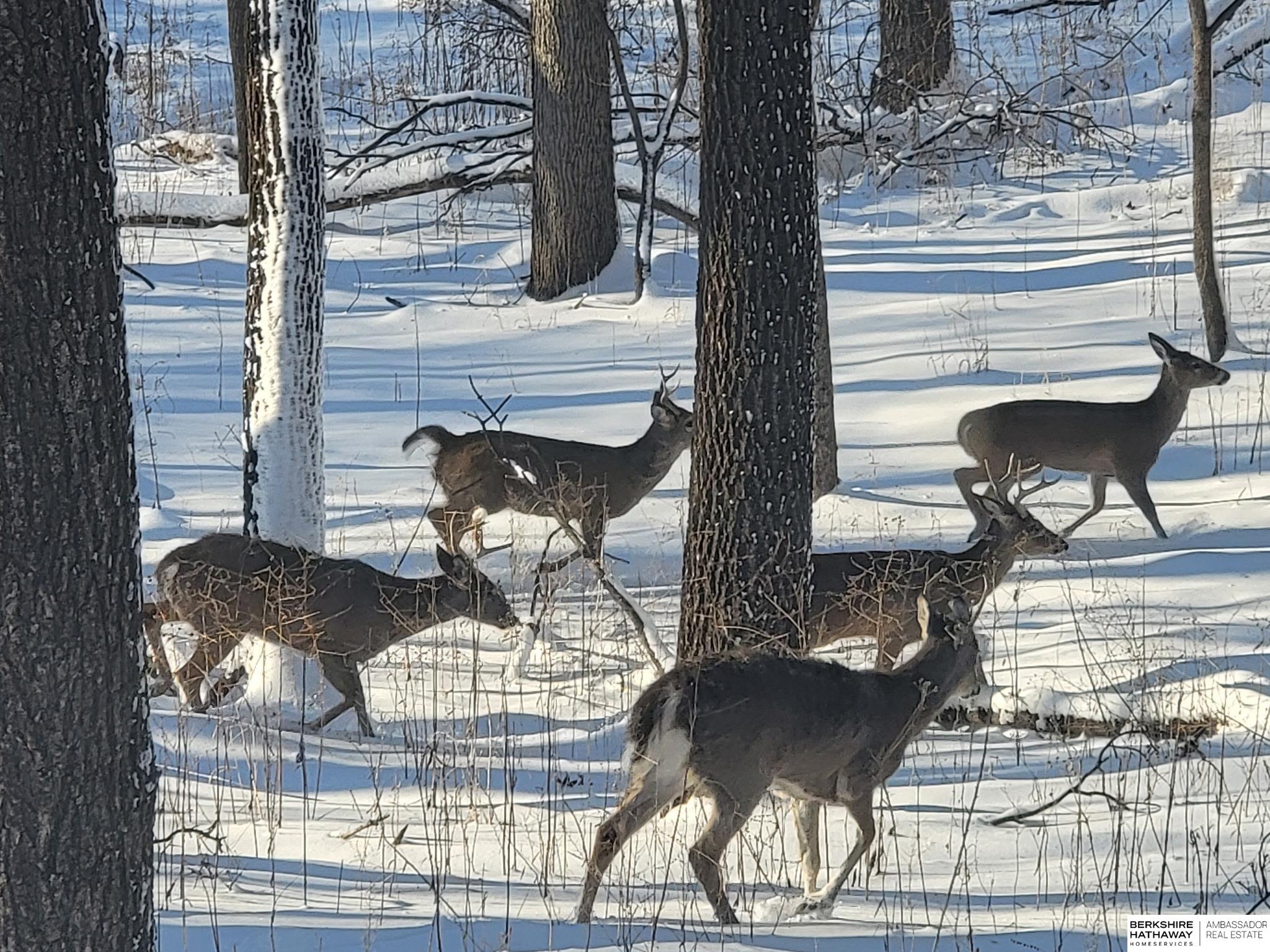 Bellevue, Nebraska 68005, United States, 4 Bedrooms Bedrooms, ,3 BathroomsBathrooms,Residential,Active,146610