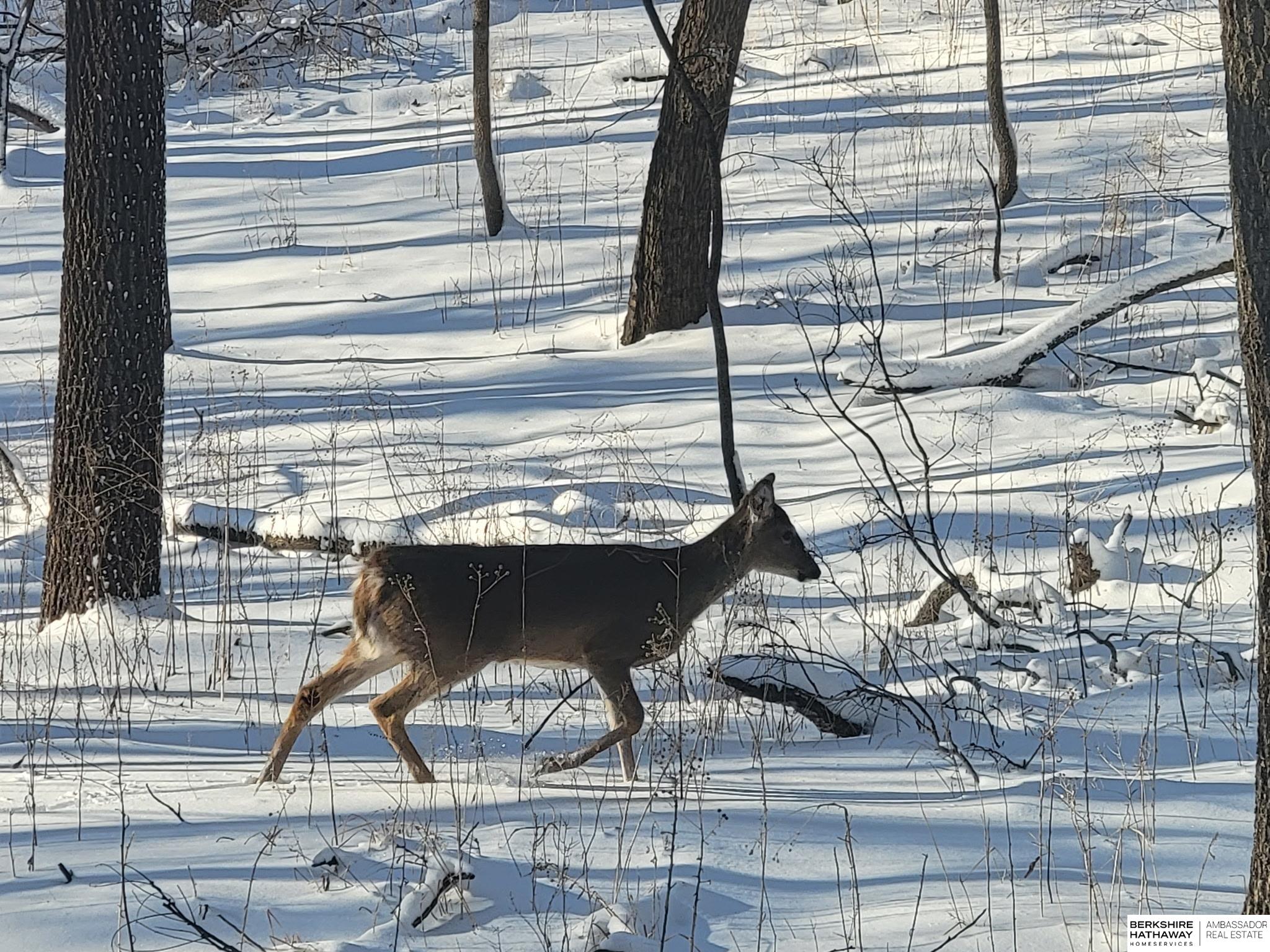 Bellevue, Nebraska 68005, United States, 4 Bedrooms Bedrooms, ,3 BathroomsBathrooms,Residential,Active,146610