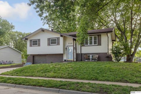 Photo of 713 N 12th Street, Blair, NE 68008 (MLS # 22613494)