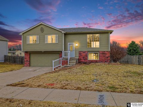 Photo of 3412 Wilhelminia Drive, Bellevue, NE 68123 (MLS # 22605872)