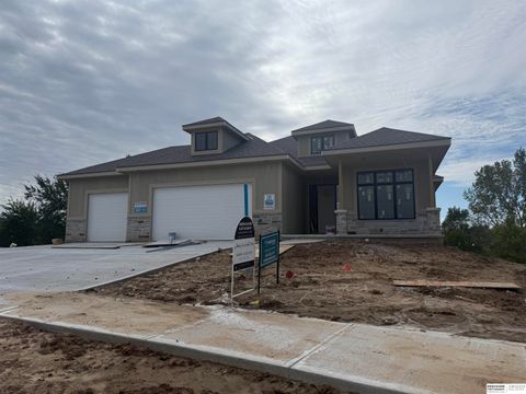 Photo of 11723 Cove Hollow Drive, Papillion, NE 68046 (MLS # 22512768)