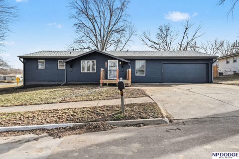Photo of 9149 Fowler Avenue, Omaha, NE 68134 (MLS # 22602192)