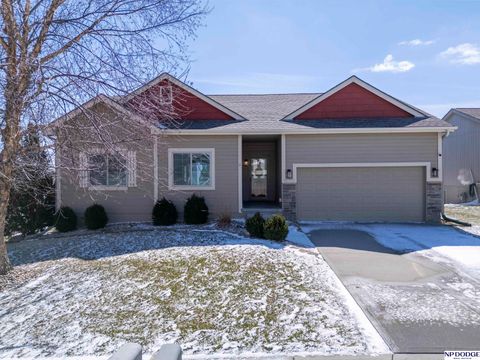 Photo of 18701 Birchwood Avenue, Omaha, NE 68135 (MLS # 22607125)