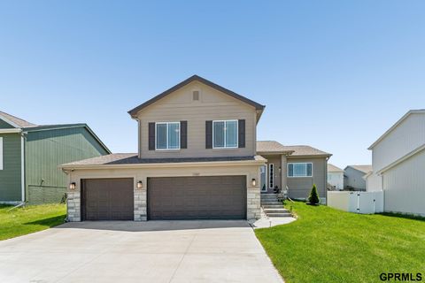 Photo of 17009 Huntington Avenue, Omaha, NE 68116 (MLS # 22613352)
