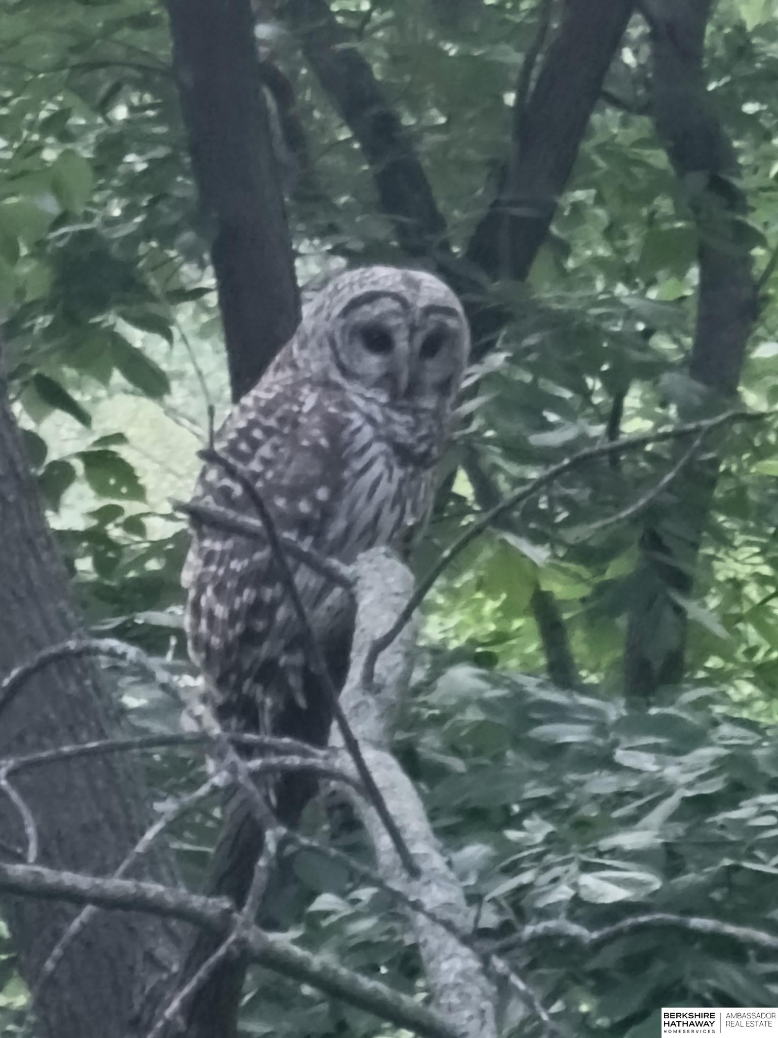 Bellevue, Nebraska 68005, United States, 4 Bedrooms Bedrooms, ,3 BathroomsBathrooms,Residential,Active,173986