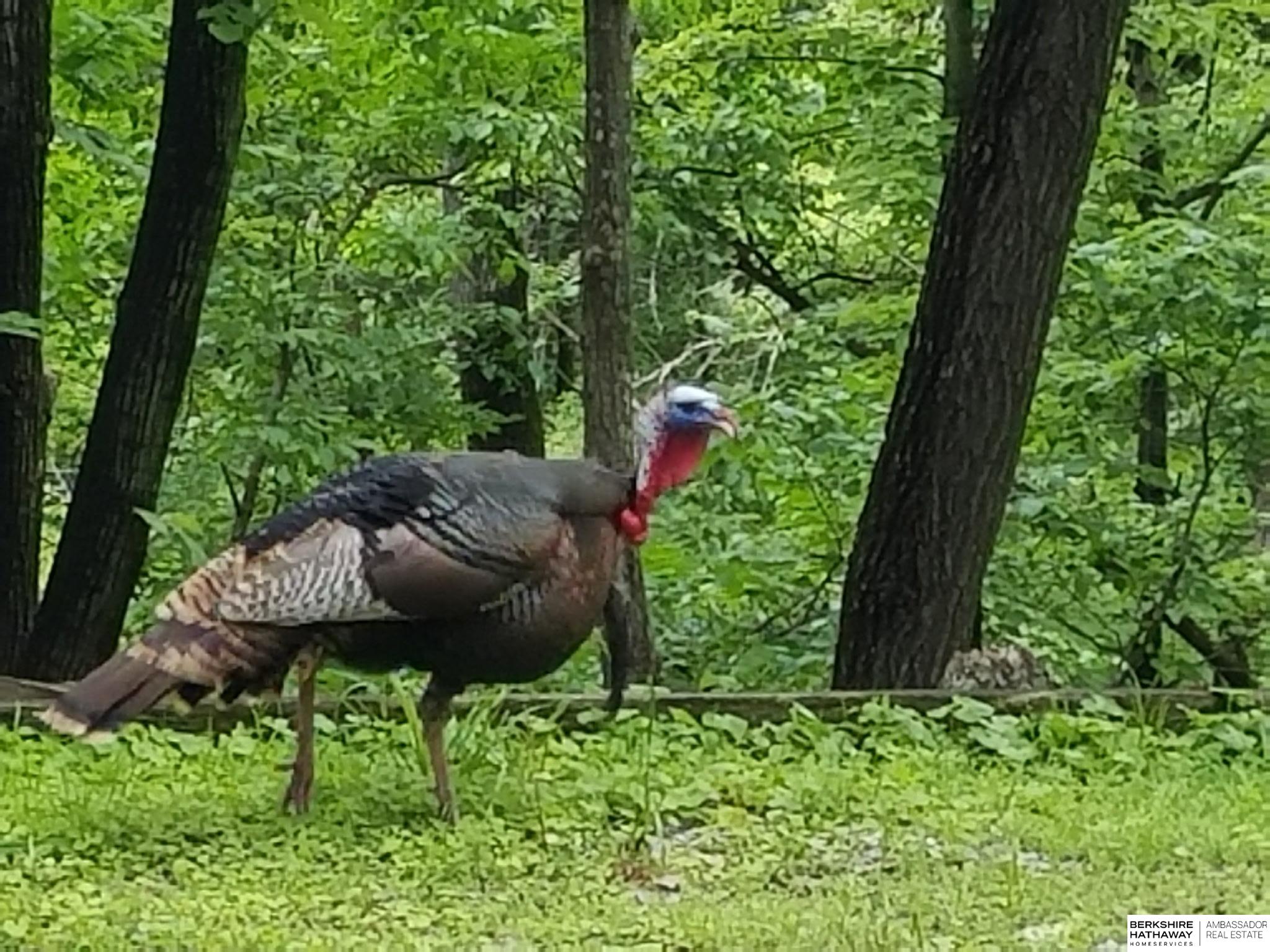 Bellevue, Nebraska 68005, United States, 4 Bedrooms Bedrooms, ,3 BathroomsBathrooms,Residential,Active,173986