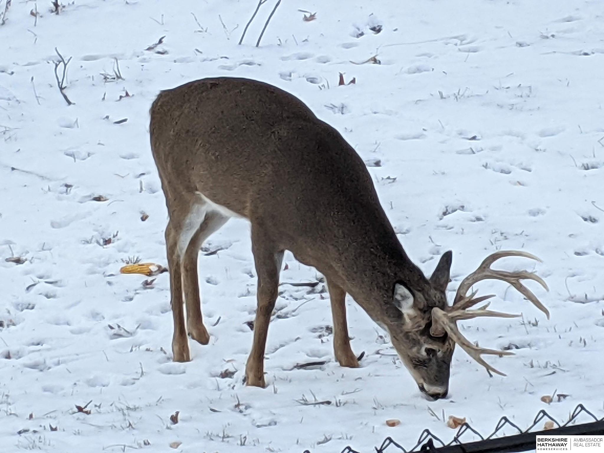 Bellevue, Nebraska 68005, United States, 4 Bedrooms Bedrooms, ,3 BathroomsBathrooms,Residential,Active,173986