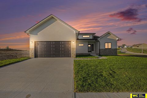 Photo of 3103 Mulberry Drive, Blair, NE 68008 (MLS # 22534399)