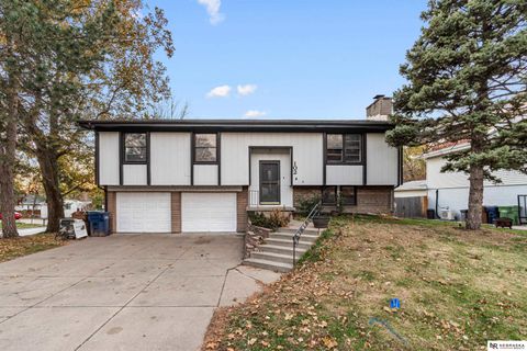 Photo of 102 Hillcrest Avenue, Bellevue, NE 68005 (MLS # 22532624)