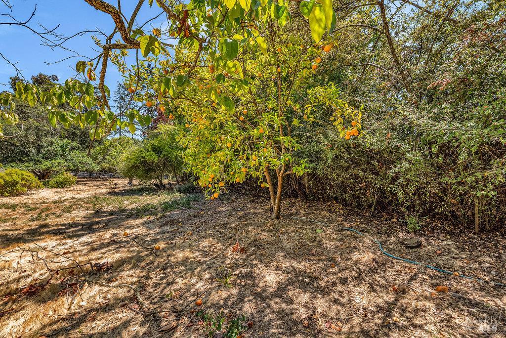 San Rafael, California 94901, United States, 3 Bedrooms Bedrooms, ,4 BathroomsBathrooms,Residential,Pending,203548