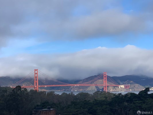 33 WALNUT ST, SAN FRANCISCO, CA 94118 - Image 0d0aa7de1ac7d7a36eba65201148af4f/2194335013