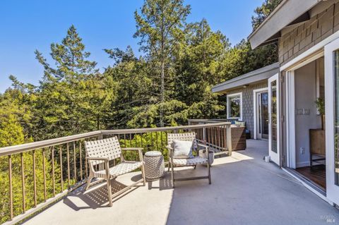 A home in Mill Valley