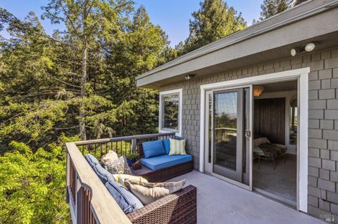 A home in Mill Valley