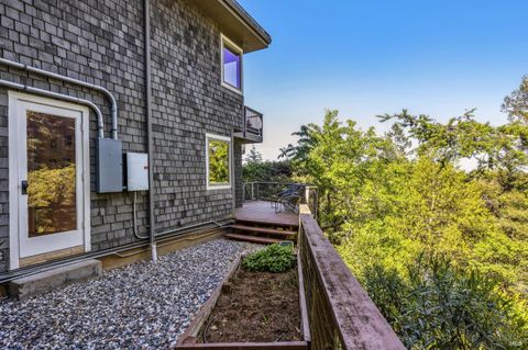 A home in Mill Valley