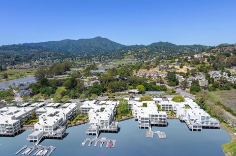 A home in Mill Valley