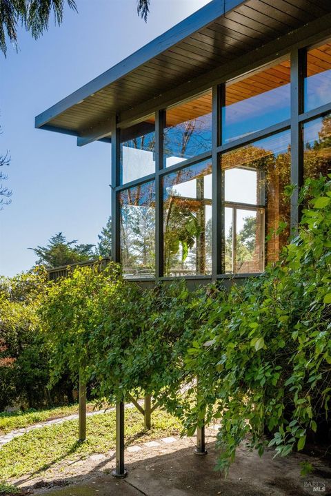 A home in Mill Valley