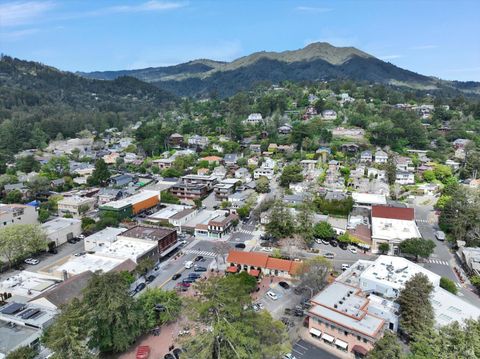 A home in Mill Valley