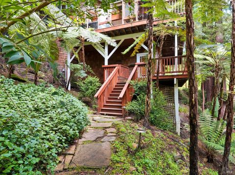 A home in Mill Valley