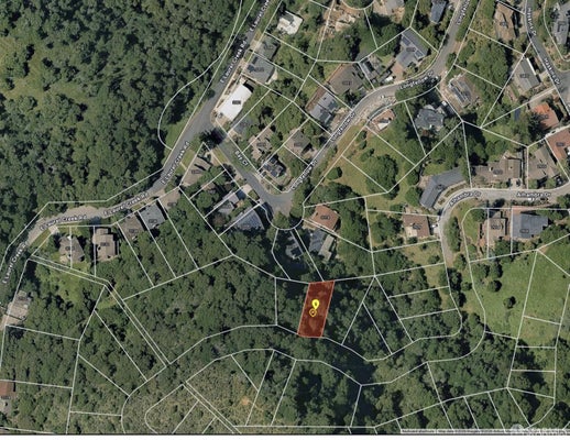 2913 ALHAMBRA DR, BELMONT, CA 94002 - Image 38fcd98742159a1f1ebefa74c820f82b/1856924063