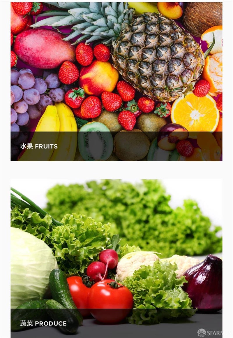 123 El Camino Real