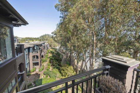 A home in Mill Valley