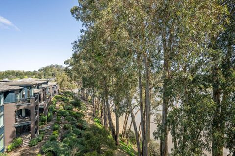 A home in Mill Valley