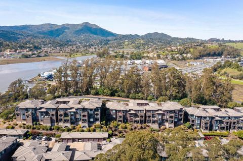 A home in Mill Valley