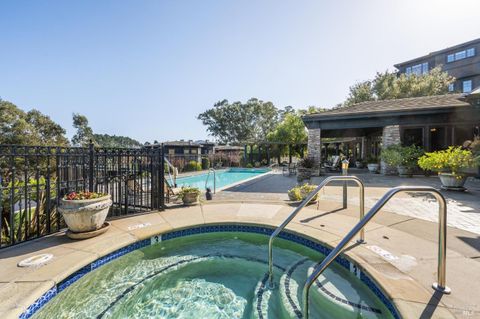 A home in Mill Valley