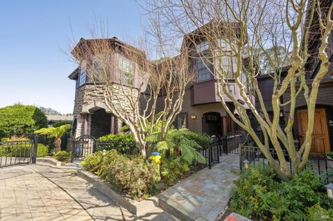 A home in Mill Valley