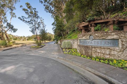 A home in Mill Valley