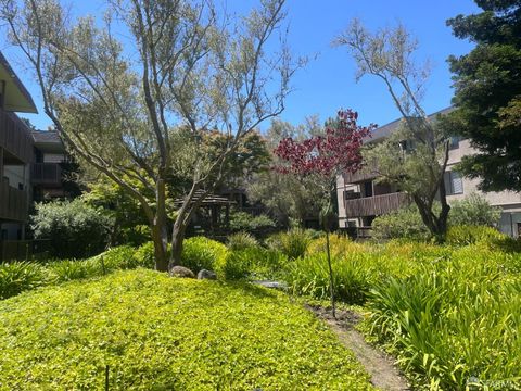 A home in San Bruno