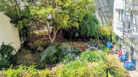 1030 Bush Street 3 San Francisco CA 94109