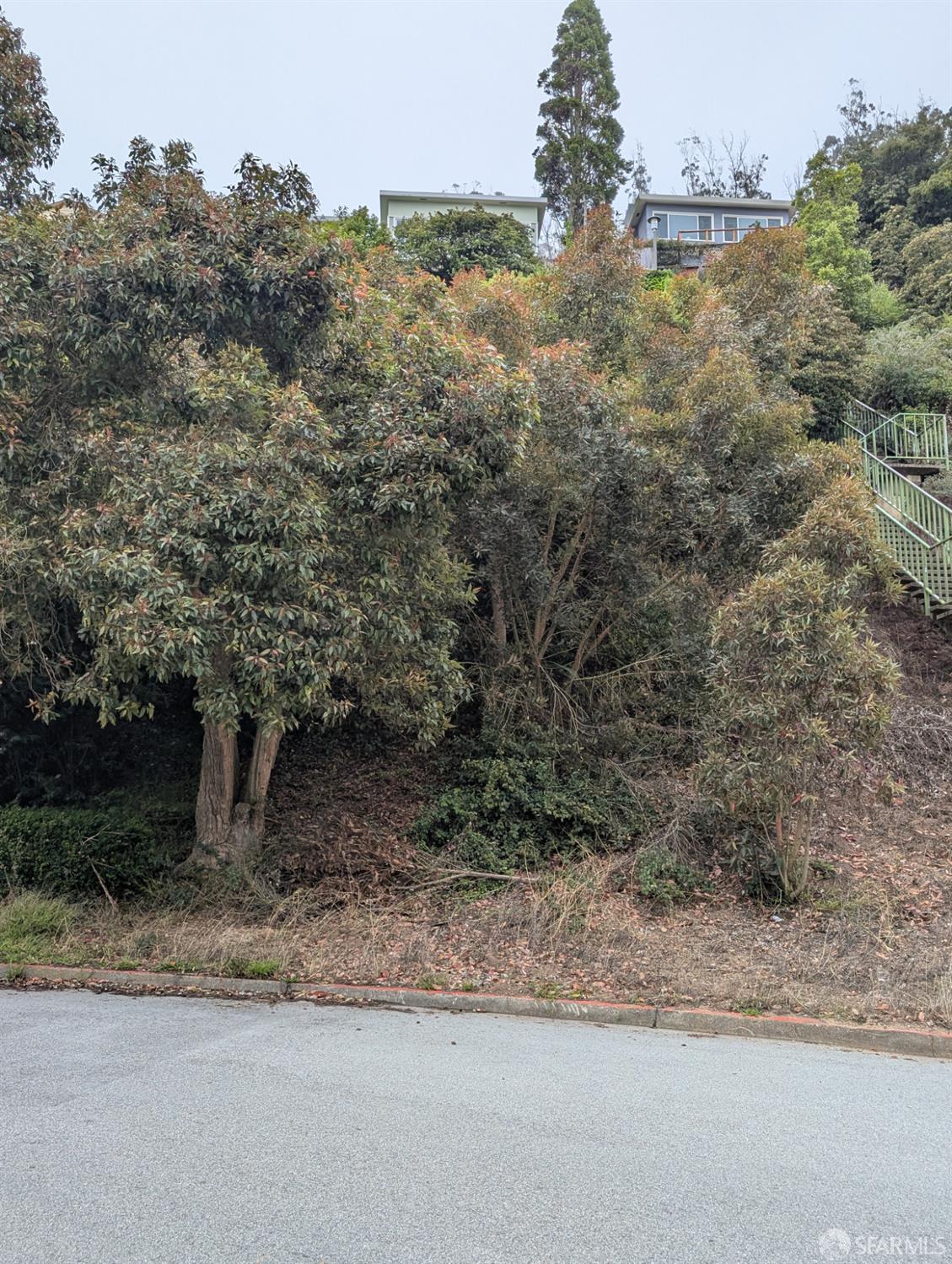 202 Oak Park Drive