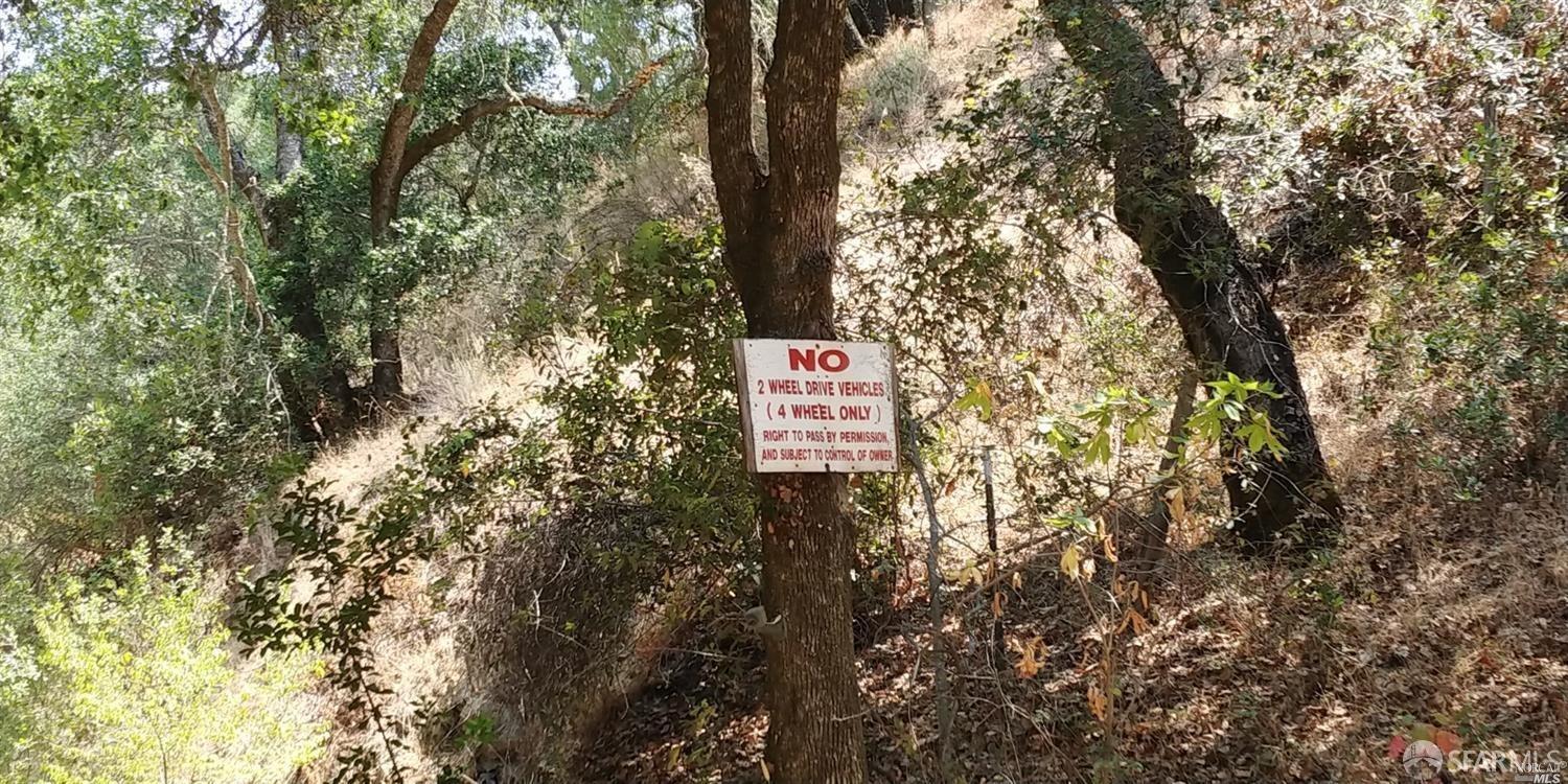 Gilroy, California 95020, United States, ,Land,Active,66811