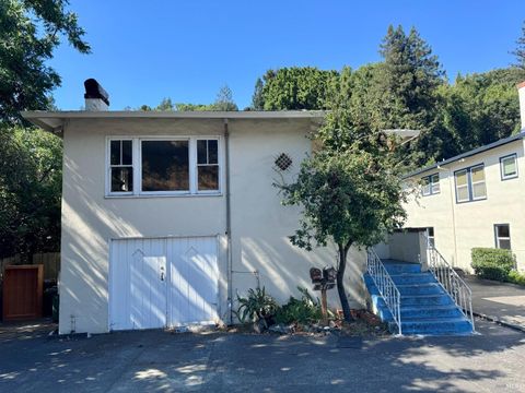 211 W End Avenue Unit 1, San Rafael, CA 94901 - #: 324054317